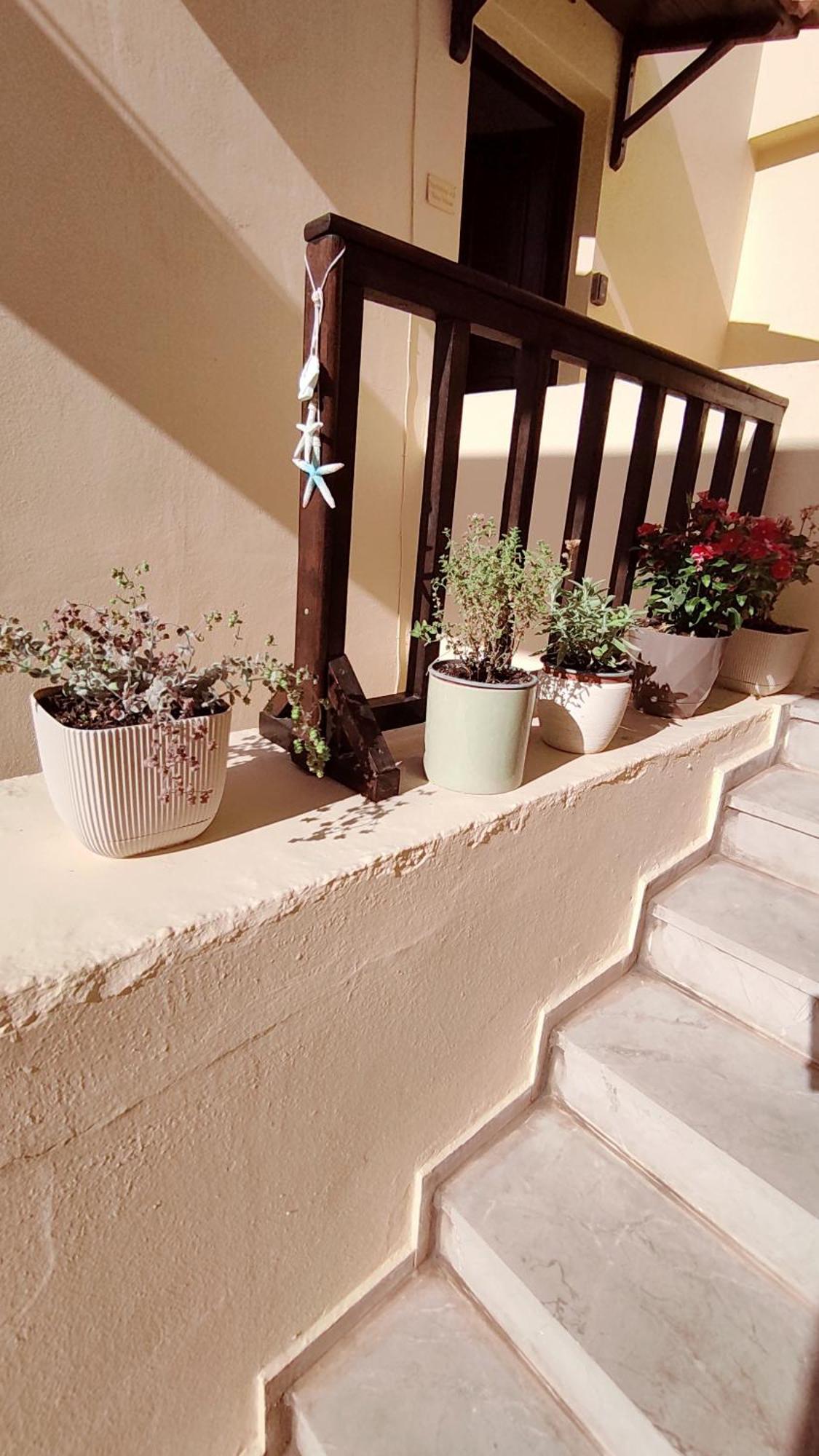 Dedalos N3 Sea View Apartment-30 Metres From The Beach Stalís Luaran gambar